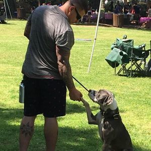 Meet your Posher, Garry